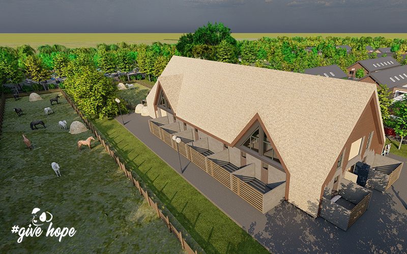 Sanctuary for Donkeys and Horses